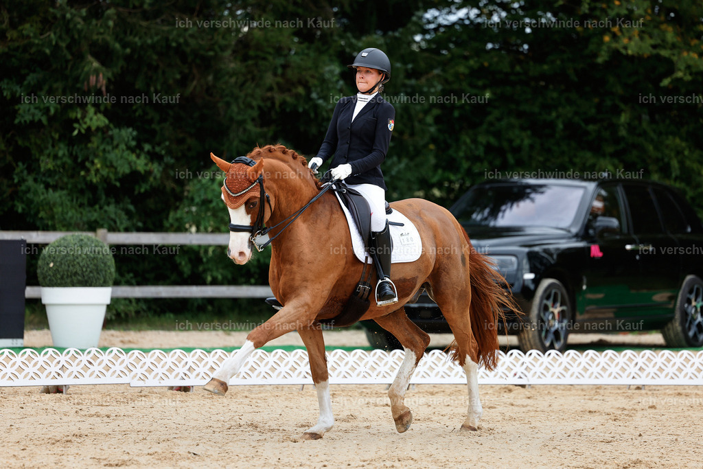 04_1-180-Dressur M__ -StoibPH-StoibPH-2634 | working equitationturnier fotograf videograf stoibphotography marixx film working equitation deutschland reitsport turnierfotografie eventfotografie equestrian events