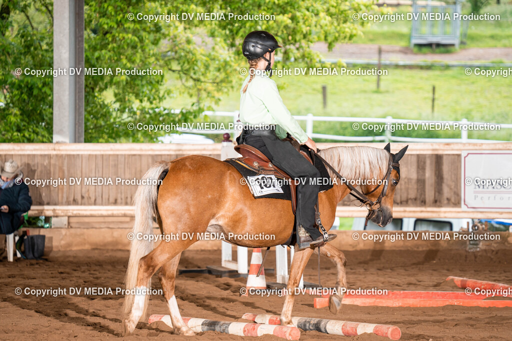 Erbach Tag 1-33 | dv-media-shop - Realisiert mit Pictrs.com