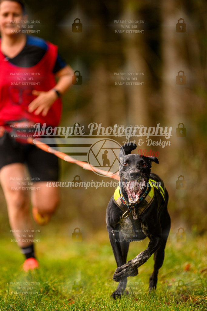 MompixPhotography_2SSTSSBW_2025_SO_Canicross-4 | PayLife