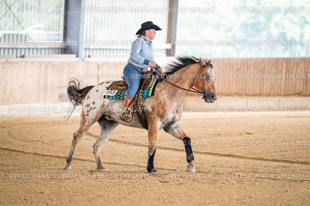 DSC03948 | Pferdegrafie