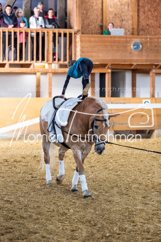 SS-Mini-011 | MomenTaufnahmen Pferdesportfotos