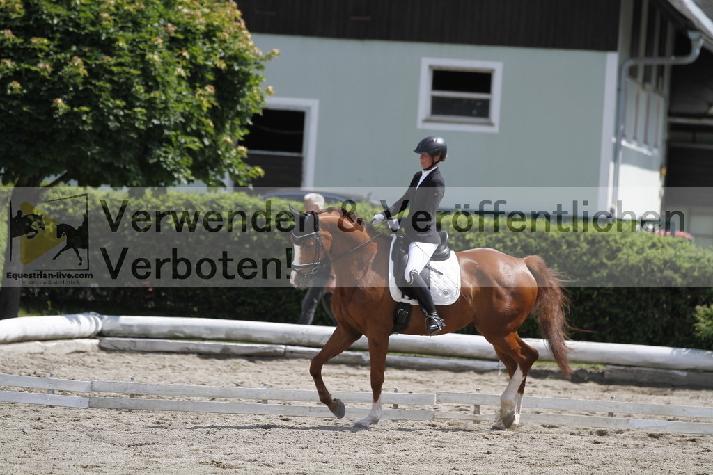 _MG_8412 | equestrian-live-com