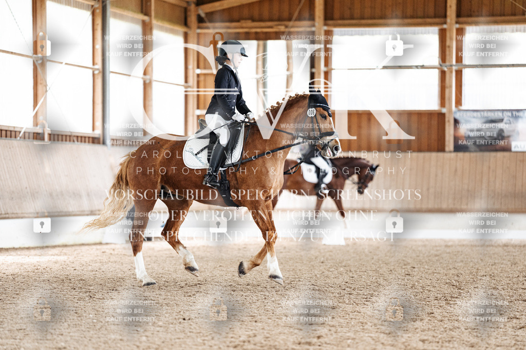 CK900870 | Turnierfotografie Pferdefotografie Trier Rheinland-Pfalz Pferdesport Reitsport Tierfotografie Sportfotografie Pferdevideo Pferdevideografie Equestrianvideography equestrianphotography  - Realisiert mit Pictrs.com
