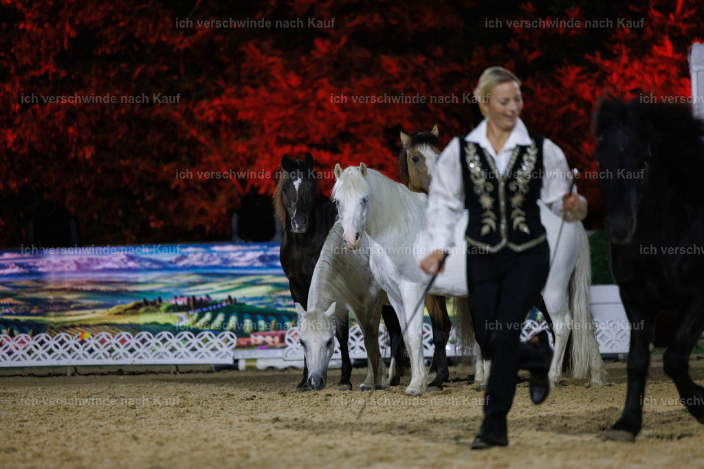 FHClassics-254 | working equitationturnier fotograf videograf stoibphotography marixx film working equitation deutschland reitsport turnierfotografie eventfotografie equestrian events