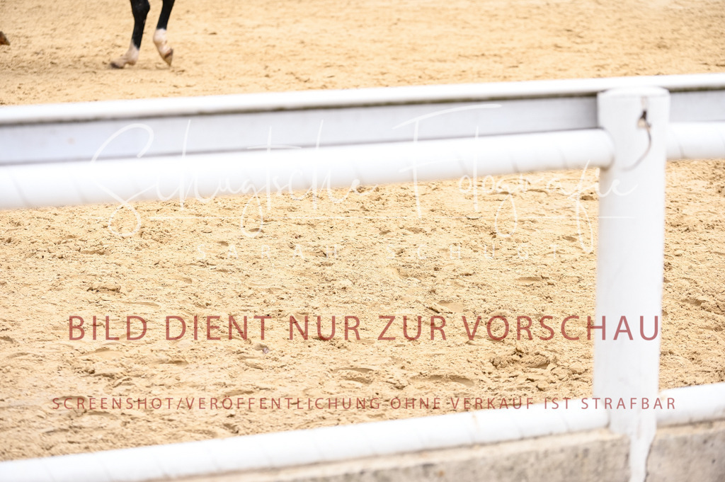 Schugtsche-Aluta25-55.Dressurreiterprf.L1Tr-171 | Schugtsche Fotografie - Realisiert mit Pictrs.com