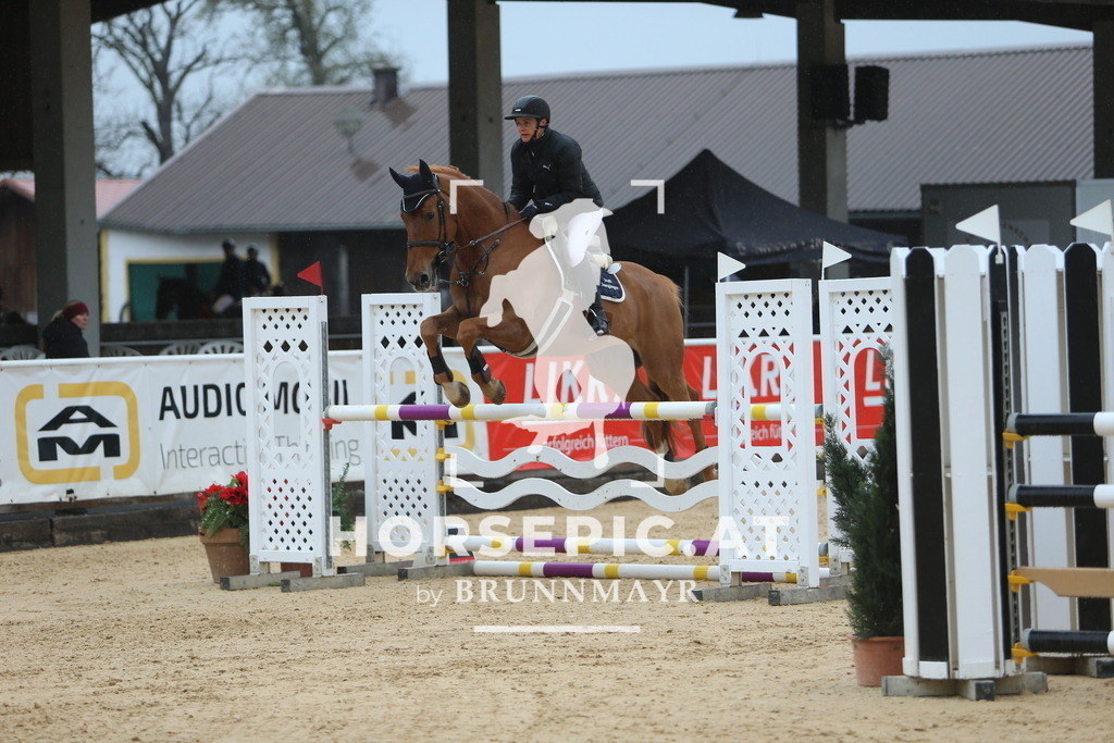 DL2Q6881 | Willkommen bei Brunnmayr - Design & Fotografie – Ihrem Spezialisten für Reitturniere und Pferdeveranstaltungen in Oberösterreich, Salzburg und Bayern! Seit über 17 Jahren sind wir leidenschaftlich dabei.