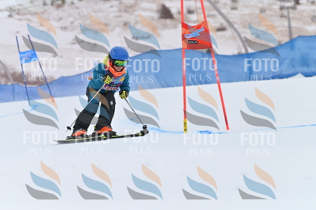 BGV_2405 | holidayphoto