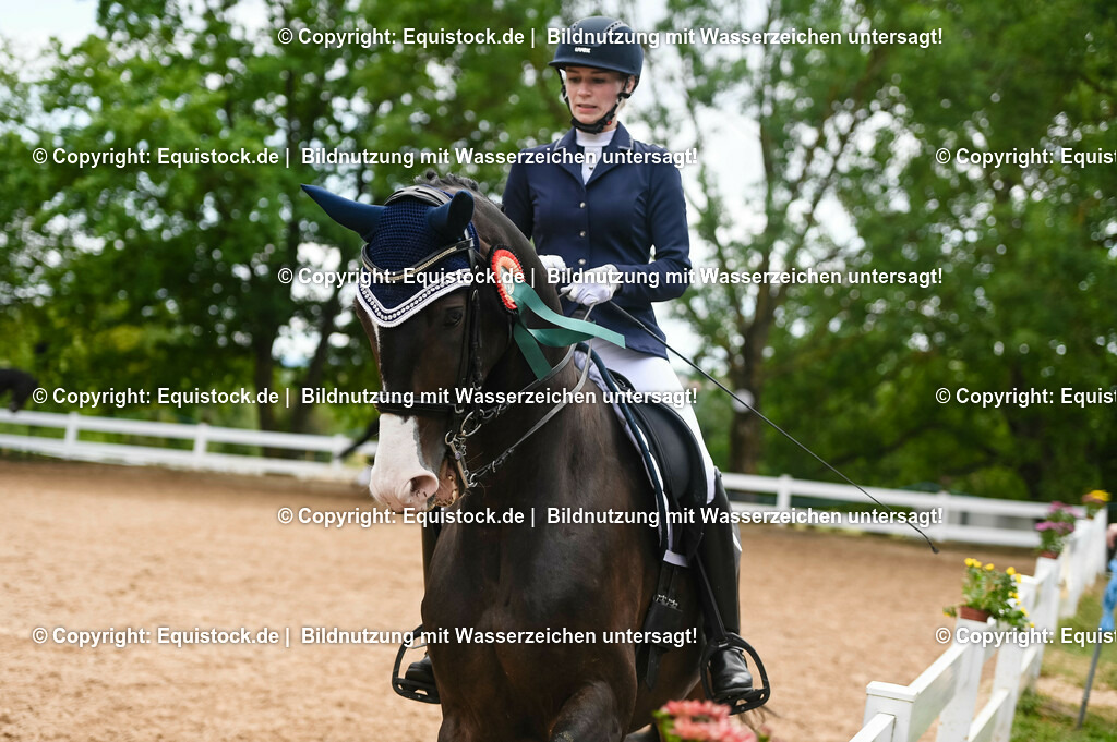 20230716_01_Dressurprüfung Kl.M_0710 | equistock