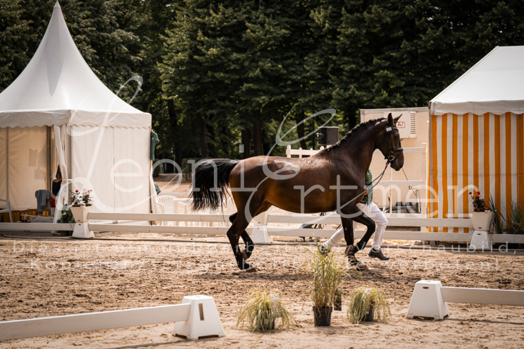 3.Fr00060 | Leoni Ertmer Photography - Realisiert mit Pictrs.com