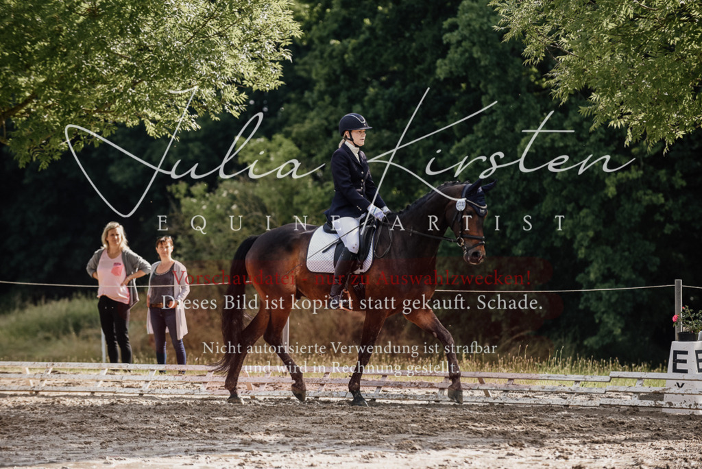 DSC_8782 | Pferde- und Turnierfotografie in Westsachsen. Pferdeportraits, Auftragszeichnungen und intuitive Kunst.