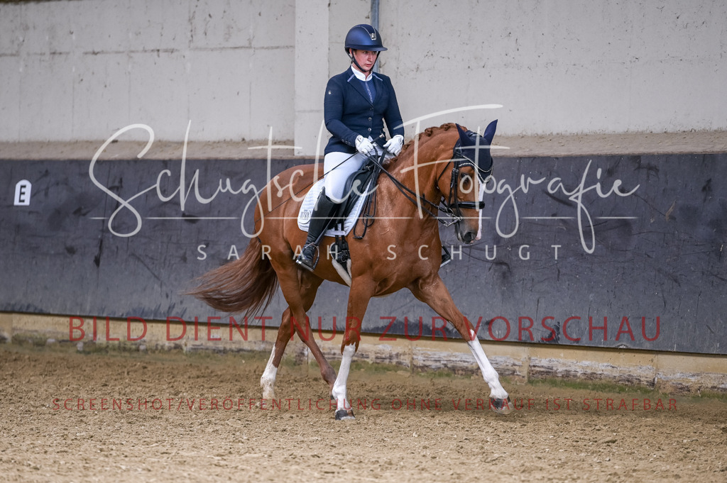 Schugtsche-Aluta25-57.Dressurprf.M1Kand-205 | Schugtsche Fotografie - Realisiert mit Pictrs.com