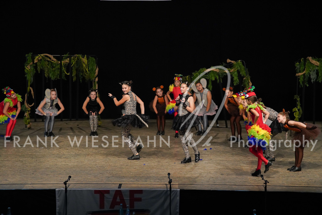 steppdm22_2929 | FRANK WIESEHAHN MEDIA - Realisiert mit Pictrs.com