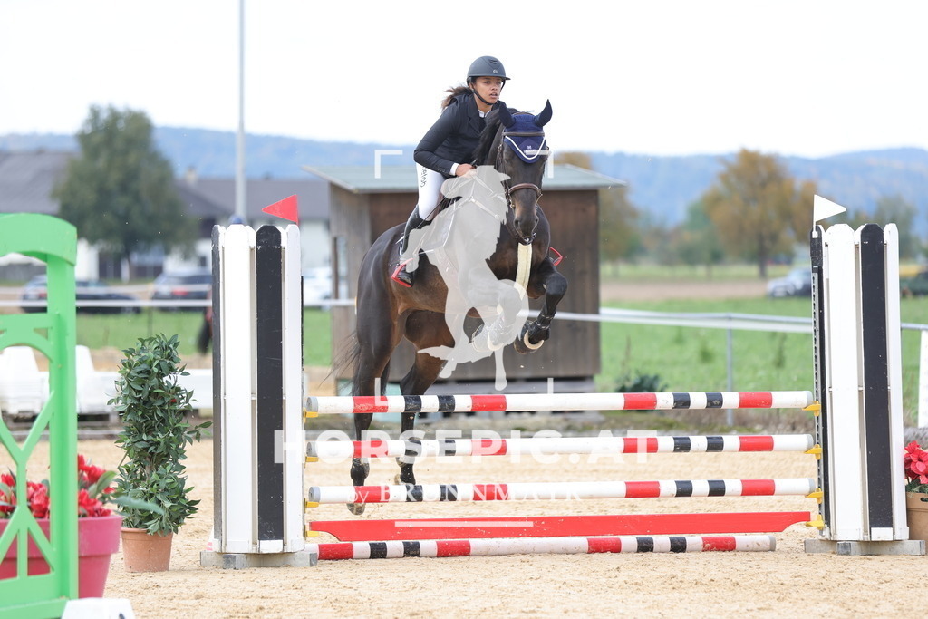 0P6A9407 | Willkommen bei Brunnmayr - Design & Fotografie – Ihrem Spezialisten für Reitturniere und Pferdeveranstaltungen in Oberösterreich, Salzburg und Bayern! Seit über 17 Jahren sind wir leidenschaftlich dabei.