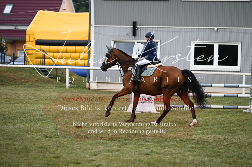 DSC_5675 | Pferde- und Turnierfotografie in Westsachsen. Pferdeportraits, Auftragszeichnungen und intuitive Kunst.