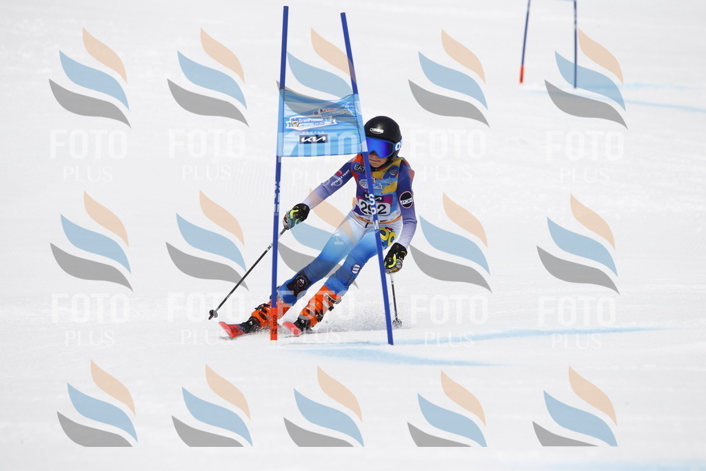 _U3G7287 | holidayphoto