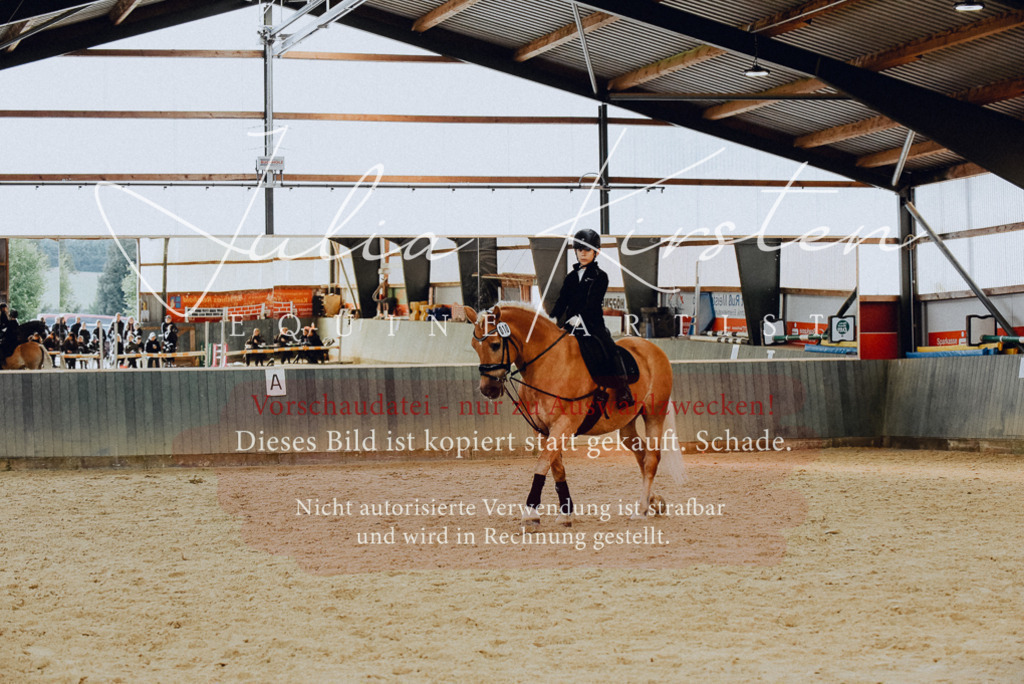 DSC_7350 | Pferde- und Turnierfotografie in Westsachsen. Pferdeportraits, Auftragszeichnungen und intuitive Kunst.