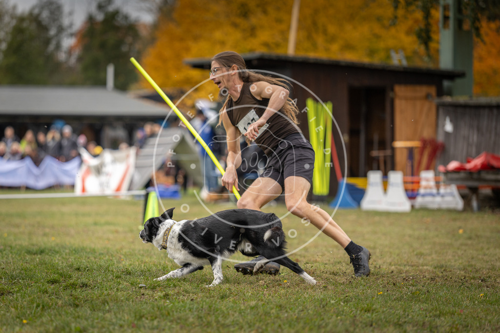 Pfotenfotografie_DV3A7873 | Hundefotografie, Tierfotograf, Pfotenfotografie, Fotoshooting Hund, Hunde Portrait, Hundesport, Hundeportraits, Heideshooting, Hunde, Sportfotograf, Hundefotograf, Turnierhundsport, THS,  - Realisiert mit Pictrs.com