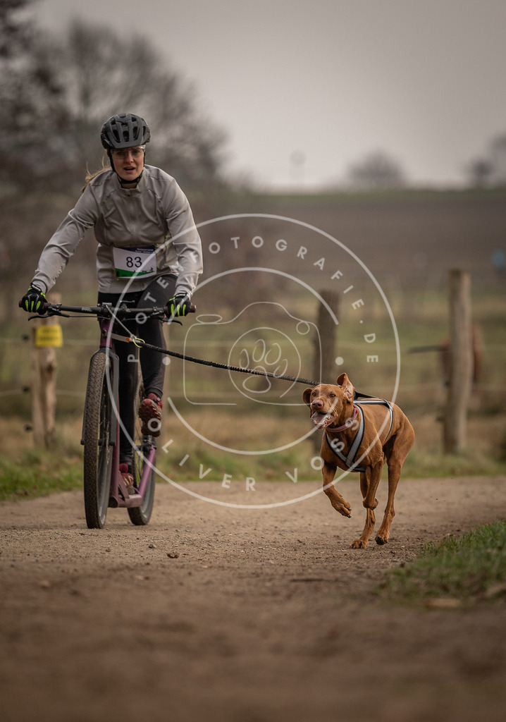 Pfotenfotografie_DV3A3994 | Hundefotografie, Tierfotograf, Pfotenfotografie, Fotoshooting Hund, Hunde Portrait, Hundesport, Hundeportraits, Heideshooting, Hunde, Sportfotograf, Hundefotograf, Turnierhundsport, THS,  - Realisiert mit Pictrs.com