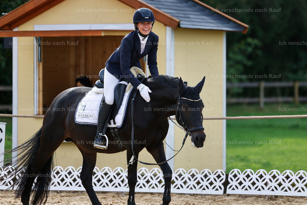 02-173-DRESSUR L_  -StoibPH-4761 | working equitationturnier fotograf videograf stoibphotography marixx film working equitation deutschland reitsport turnierfotografie eventfotografie equestrian events