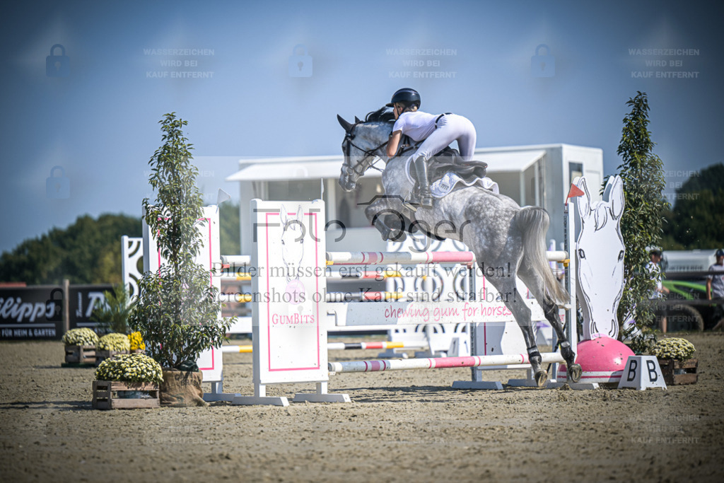 DOS_2680 | Entdecke hochwertige Reitturnierfotos von Foto Oger. Professionell, emotional und authentisch – jetzt Lieblingsmomente im Shop bestellen. - Realisiert mit Pictrs.com