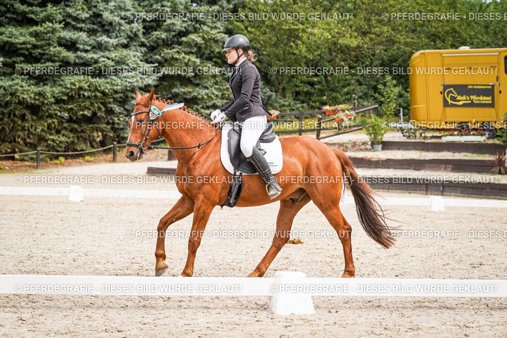 DSC04654 | Pferdegrafie