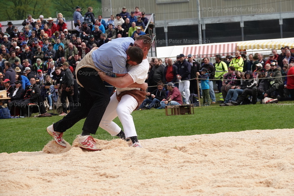 DSC03288 | Schwingen - Realisiert mit Pictrs.com