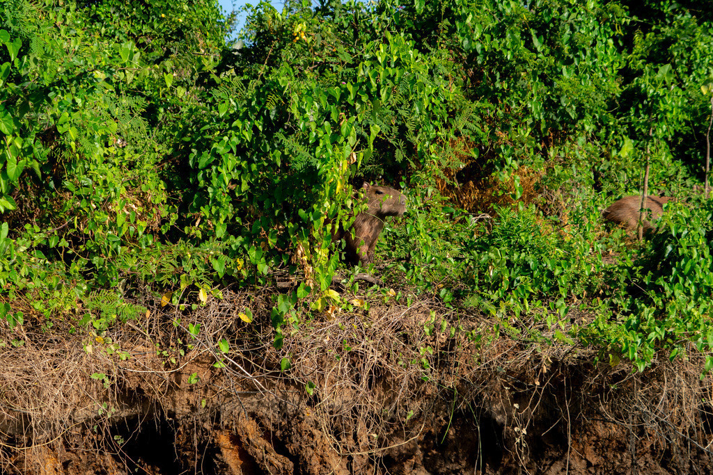 DeltaTour 30.10.25 | paulependelt - Realisiert mit Pictrs.com