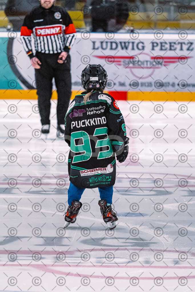 Alligators_vs_Fuessen_01_03_2026_PP-2 | Höchstadt Alligators Fotogalerie: Eishockey-Action aus Franken. Professionelle Spielfotos, Portraits & Stadionbilder zum Download. Jetzt entdecken! - Realisiert mit Pictrs.com
