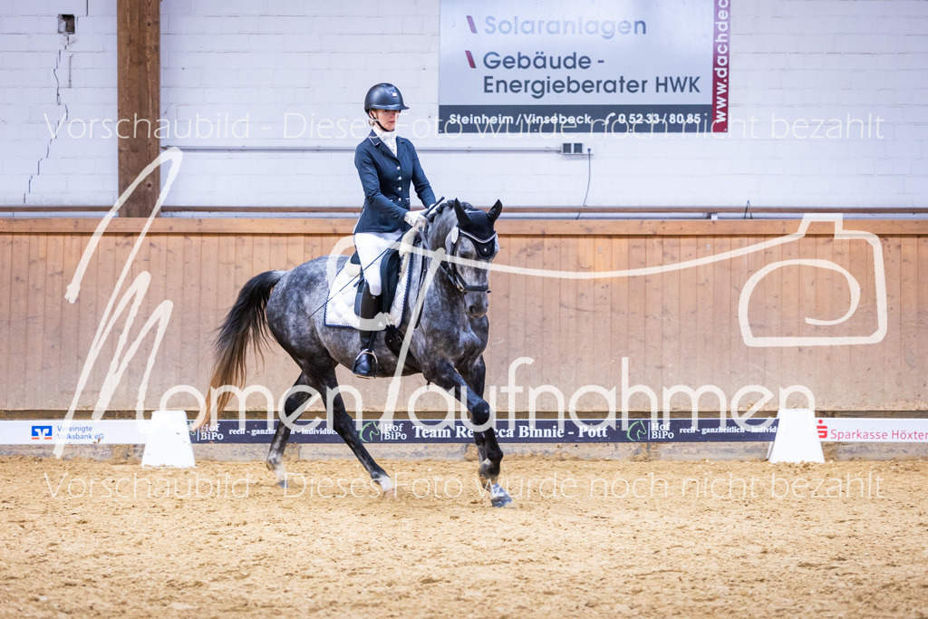 Sth-A-Dre-2St-187 | MomenTaufnahmen Pferdesportfotos