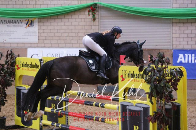 IMG_0597 | Turnierfotos kaufen im Webshop von Daniel Kuhl Photography – entdecke professionelle Reitsportfotos aus Turnieren & Events. Hochwertige Turnierbilder online bestellen & sichern. Jetzt Fotos von Reitsportturnieren kaufen!