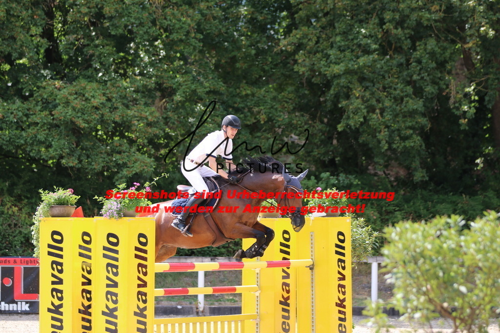 IMG_0379 | lmwpictures - Realisiert mit Pictrs.com