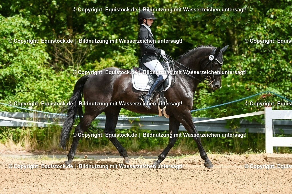 20230716_01_Dressurprüfung Kl.M_0005 | equistock