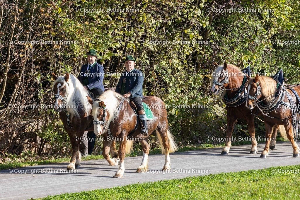 LBT24-139 | foto-bettina-krinner - Realisiert mit Pictrs.com