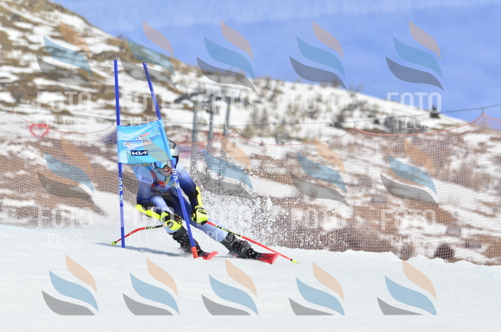 _ELE2035 | holidayphoto