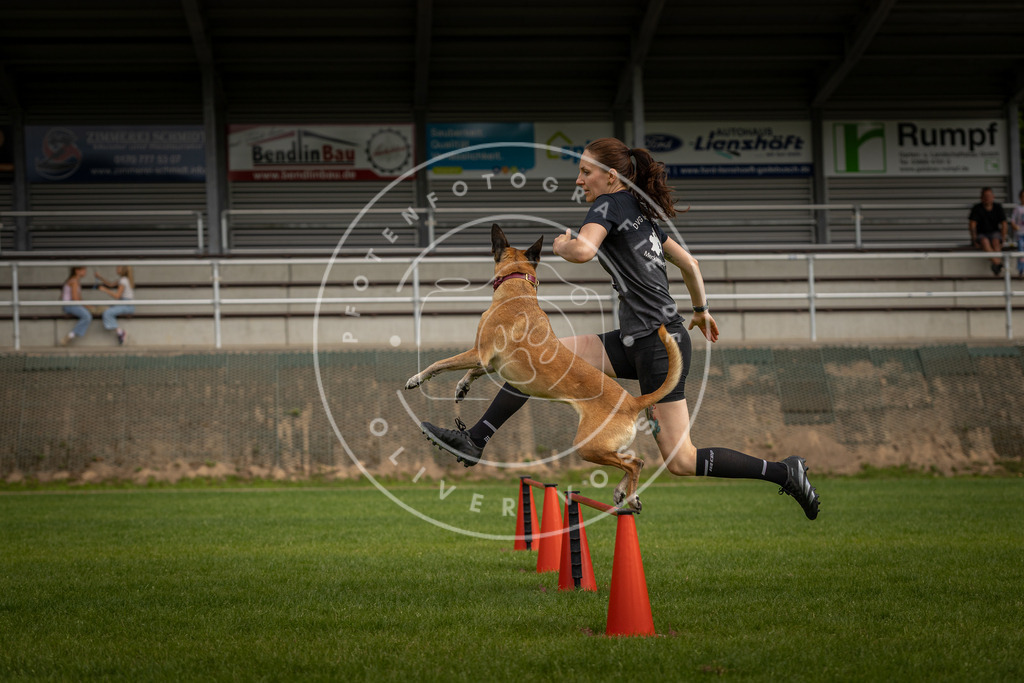 Pfotenfotografie_DV3A7524 | Hundefotografie, Tierfotograf, Pfotenfotografie, Fotoshooting Hund, Hunde Portrait, Hundesport, Hundeportraits, Heideshooting, Hunde, Sportfotograf, Hundefotograf, Turnierhundsport, THS,  - Realisiert mit Pictrs.com