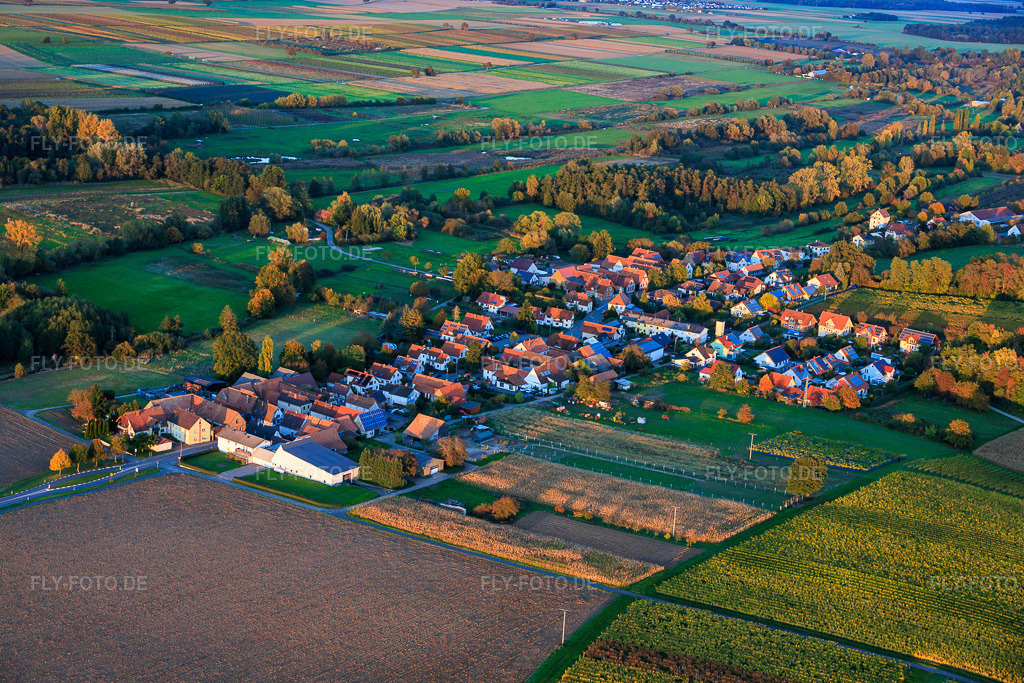 Luftbild: Ortsansicht von Südwesten in Hergersweiler im Bundesland Rheinland-Pfalz in Deutschland. Foto: IMG_150421.jpg vom 15.10.2025 durch Werner Riehm/FLY-FOTO.de