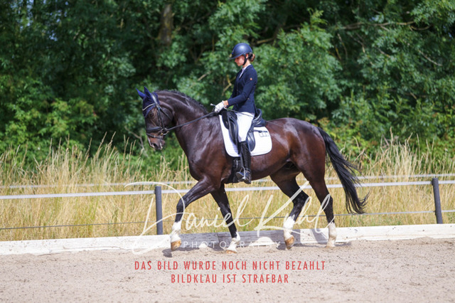 DKP46651 | Turniersportfotografie; Pferdefotografie; Dressurfotografie