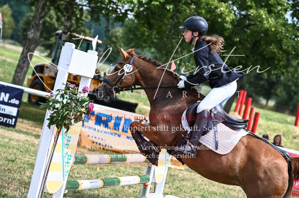 DSC_8582 | Pferde- und Turnierfotografie in Westsachsen. Pferdeportraits, Auftragszeichnungen und intuitive Kunst.