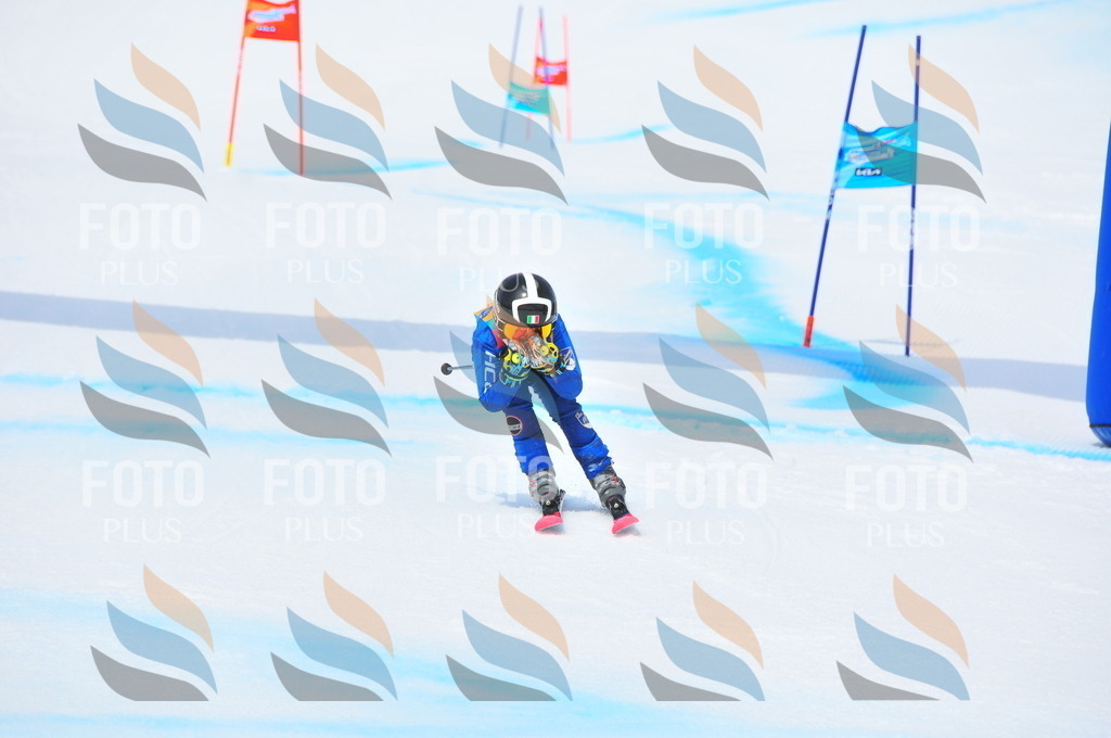 DSC_2587 | holidayphoto