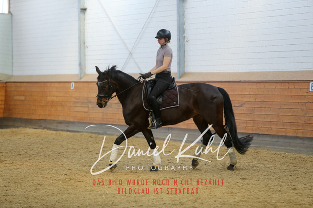 IMG_3490 | Turniersportfotografie; Pferdefotografie; Dressurfotografie