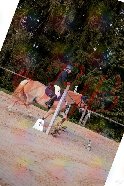 2026_10_03_Siefer-Hof_145225_Z81_31255202 | Professionelle Reitsport-, Turnier- und Eventfotografie von Robert Broda. Galerien mit ausgewählten und bearbeiteten Bildern direkt online ansehen und bestellen.