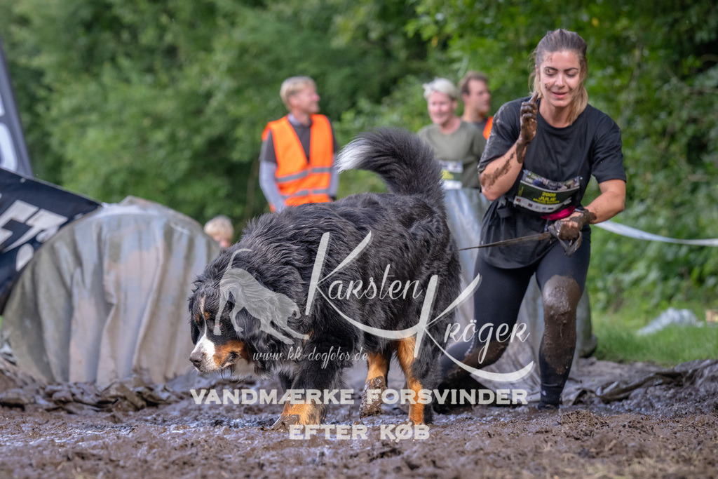 1714_ZZ91626 | kk-dogfotos