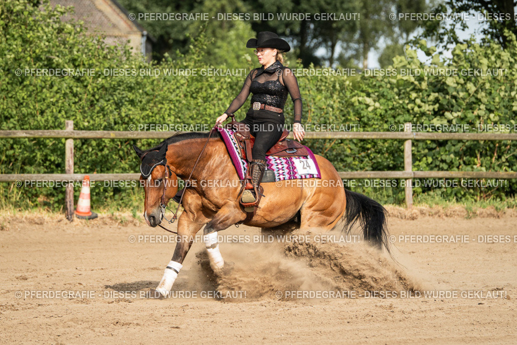 DSC05413 | Pferdegrafie