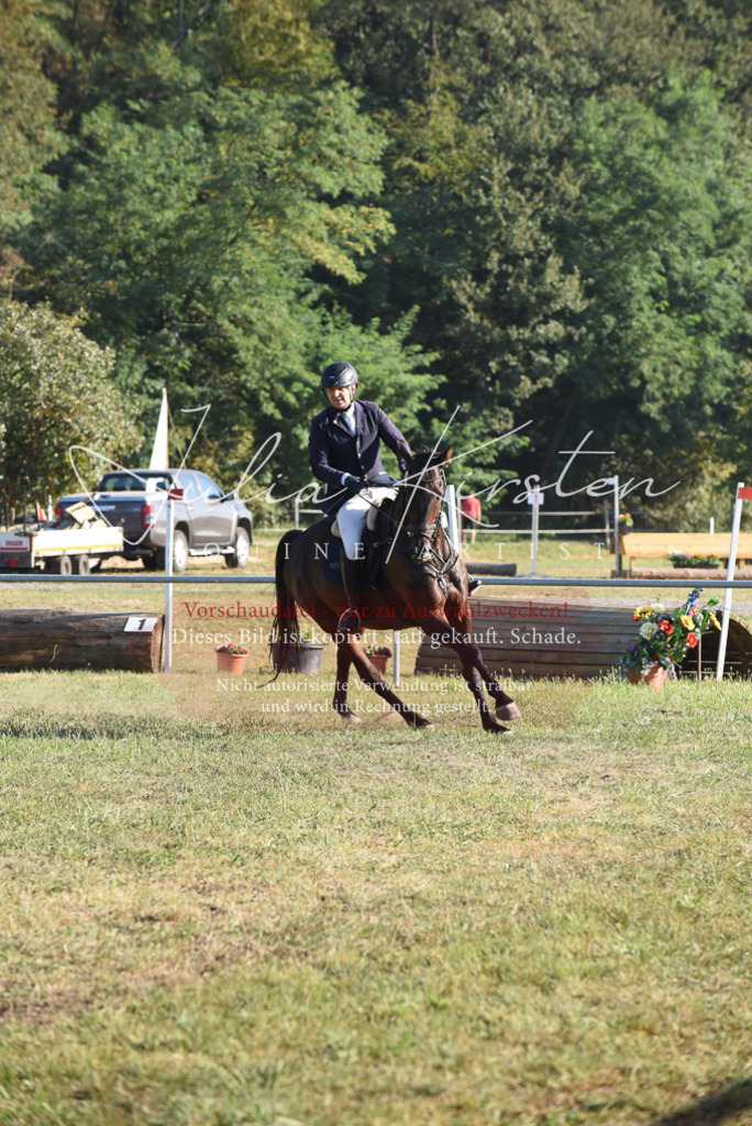 DSC_5121 | Pferde- und Turnierfotografie in Westsachsen. Pferdeportraits, Auftragszeichnungen und intuitive Kunst.