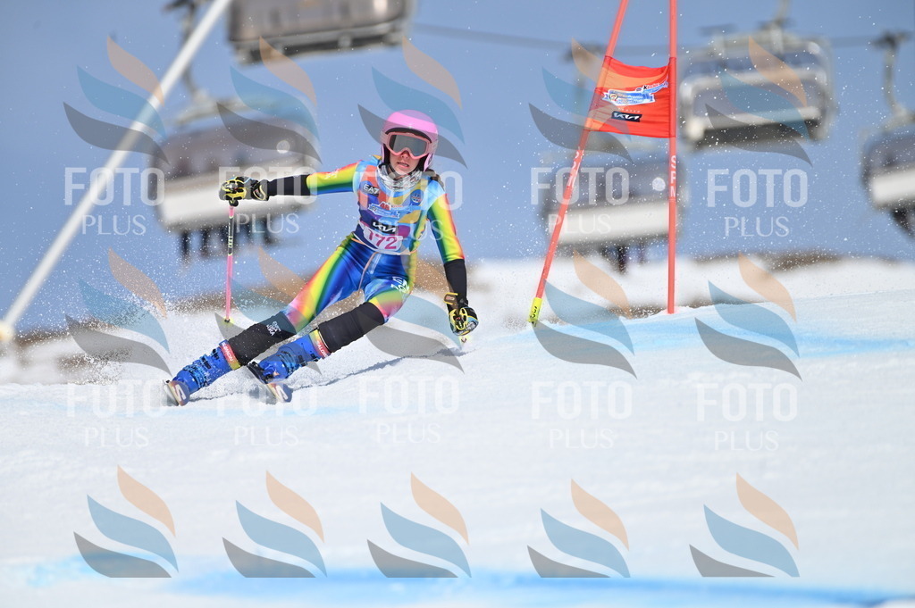 BGV_0462 | holidayphoto