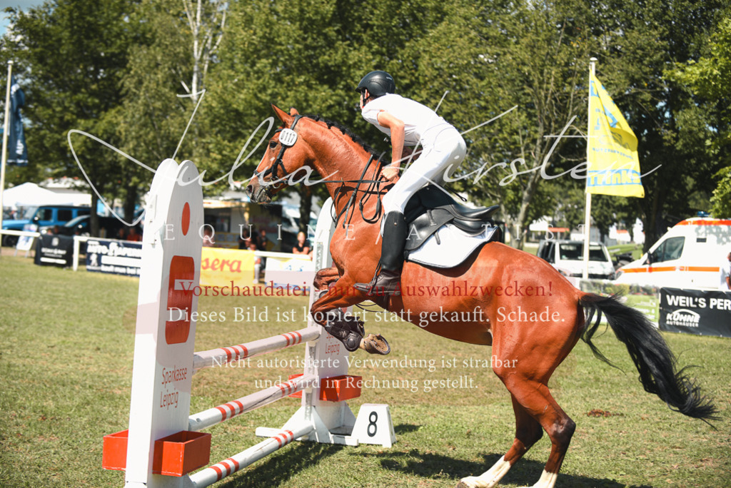 DSC_6584 | Pferde- und Turnierfotografie in Westsachsen. Pferdeportraits, Auftragszeichnungen und intuitive Kunst.