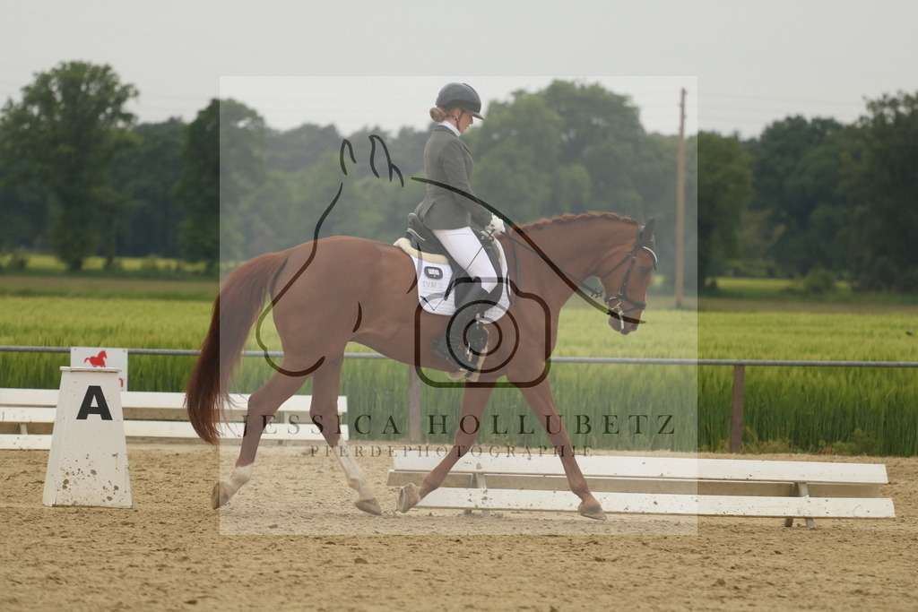 IMG_5908 | jessicahollubetz_pferdephotographie - Realisiert mit Pictrs.com