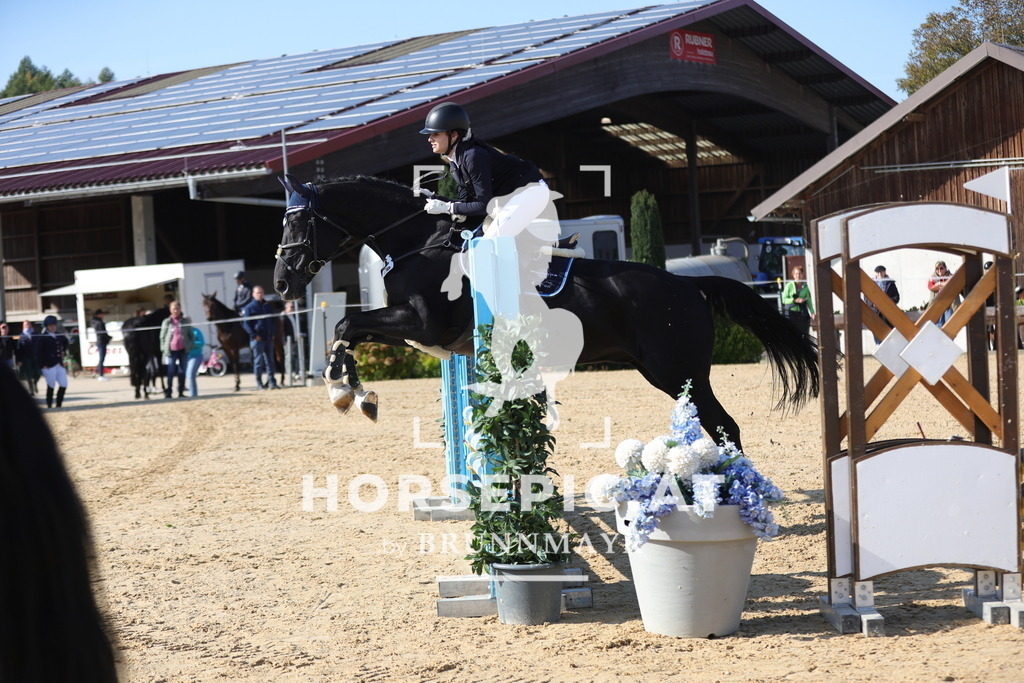 0P6A8035 | Willkommen bei Brunnmayr - Design & Fotografie – Ihrem Spezialisten für Reitturniere und Pferdeveranstaltungen in Oberösterreich, Salzburg und Bayern! Seit über 17 Jahren sind wir leidenschaftlich dabei.