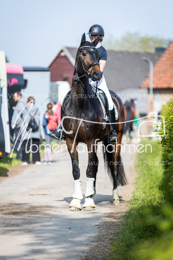 HH-Randmomente-003-2 | MomenTaufnahmen Pferdesportfotos