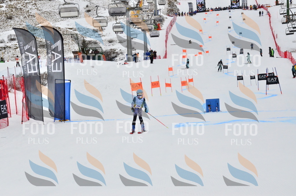 _ELE3662 | holidayphoto